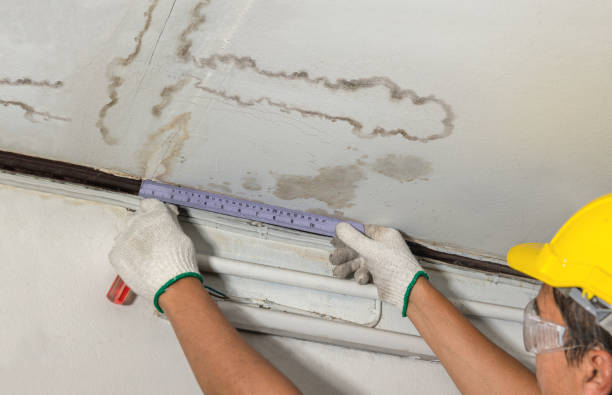 Reliable Water Damage contractor in Mount Pleasant, TN by Water Damage Irwin